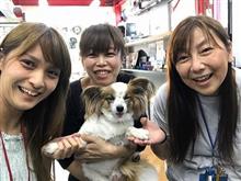 GWなうなう♪【トライアル発】 GWなうなう♪【トライアル発】