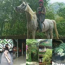スパと乗馬で静養中 スパと乗馬で静養中