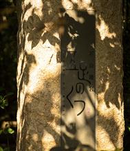 GW写真日記① 旬のウニを味わう天草旅へ GW写真日記① 旬のウニを味わう天草旅へ