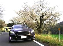 楽しんだGWも終わっちゃった 楽しんだGWも終わっちゃった