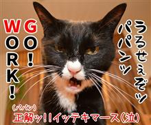 ゴールデンウィークって何!? ゴールデンウィークって何!?