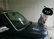 ゴールデンウィーク終了ですね~ ゴールデンウィーク終了ですね~