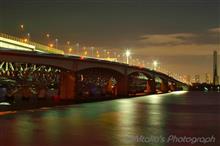 GWは夜景と鳥撮り撮影♪ GWは夜景と鳥撮り撮影♪