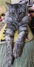 第3回 黒猫ちゃんオフ 前日編 ~富山ぶらり旅~ 第3回 黒猫ちゃんオフ 前日編 ~富山ぶらり旅~
