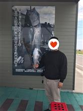 ガメラレーダーその性能とは ガメラレーダーその性能とは