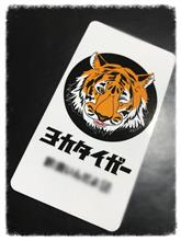 今頃UP 今頃UP
