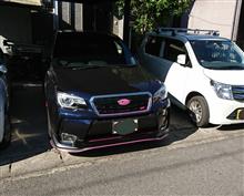愛車と出会って1年! 愛車と出会って1年!