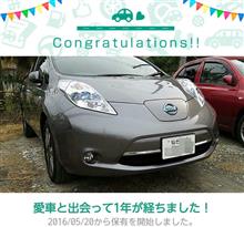 リーフ君と1年間 リーフ君と1年間