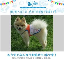 祝・みんカラ歴1年! 祝・みんカラ歴1年!