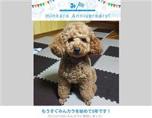 祝・みんカラ歴5年! 祝・みんカラ歴5年!