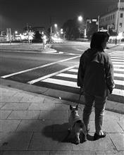 cocoとアレルギーとvisと… cocoとアレルギーとvisと…
