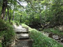 大台ケ原と熊野古道 大台ケ原と熊野古道