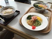カニオフ夏の陣、レトロ自販機を求めて。 カニオフ夏の陣、レトロ自販機を求めて。