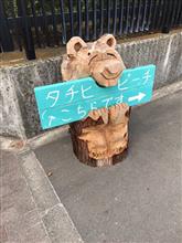 BBQオフinタチヒビーチ☆ BBQオフinタチヒビーチ☆