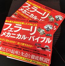 真夏の休息 真夏の休息