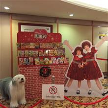 弾丸観劇ツアーin大阪 弾丸観劇ツアーin大阪