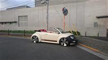 お陰様で♪ お陰様で♪