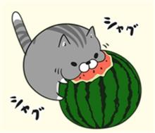 夏休みの思い出。 夏休みの思い出。