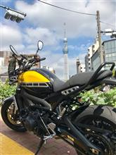 xsr900 のファーストインプレッション? xsr900 のファーストインプレッション?