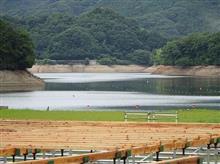 ダムの貯水量 ダムの貯水量