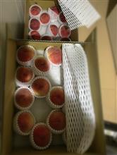 夏バテ注意、8月後半 夏バテ注意、8月後半