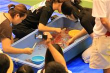 第23回 全国金魚すくい選手権大会 第23回 全国金魚すくい選手権大会