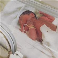 Just born! Just born!