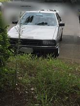 旧車 旧車