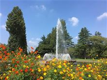 公園に行きました。 公園に行きました。