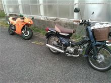 いつもながら久々の...(^_^;) いつもながら久々の...(^_^;)