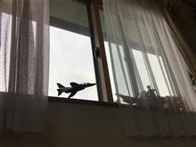 ひこうきぐも ひこうきぐも