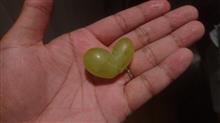 最近のごそごそ 最近のごそごそ