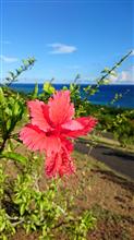 夏休みのバカンス~沖縄~♪♪後編 夏休みのバカンス~沖縄~♪♪後編