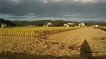 今日は有給取って稲刈り🌾 今日は有給取って稲刈り🌾