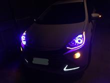 イカリング&LEDチューブ イカリング&LEDチューブ
