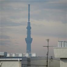 あんず&羊太とランチです あんず&羊太とランチです