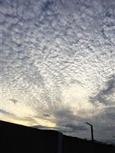 秋朝、うろこ雲、季節感。。 秋朝、うろこ雲、季節感。。
