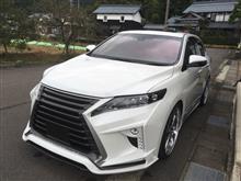 11日ぶりの洗車((((;゚Д゚))))))) 11日ぶりの洗車((((;゚Д゚)))))))