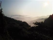 雲海 雲海