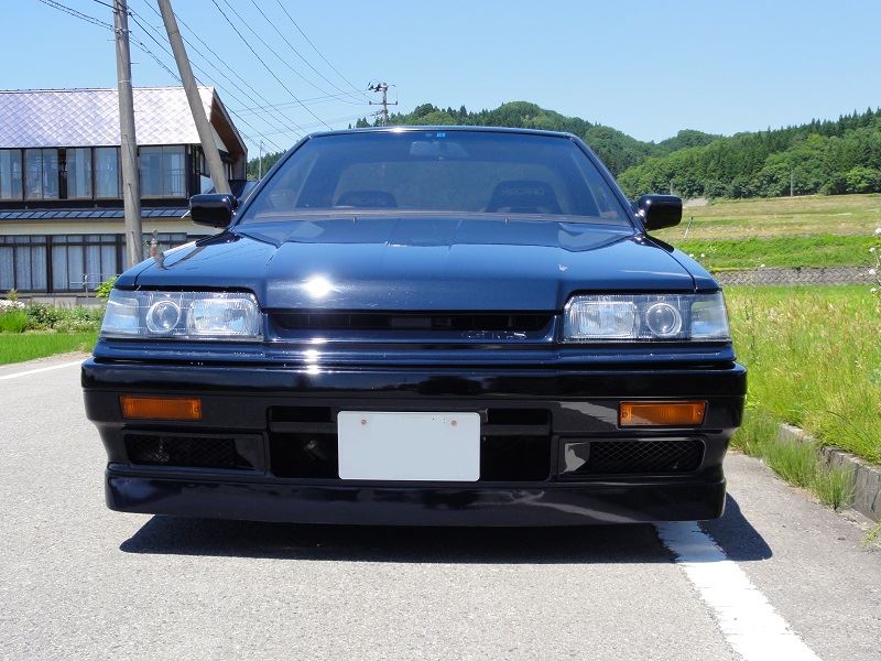Nissan skyline gts mpg #2