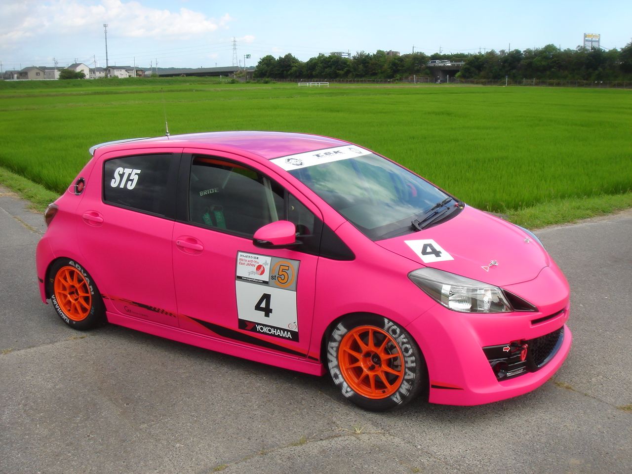 Vitz」の検索結.
