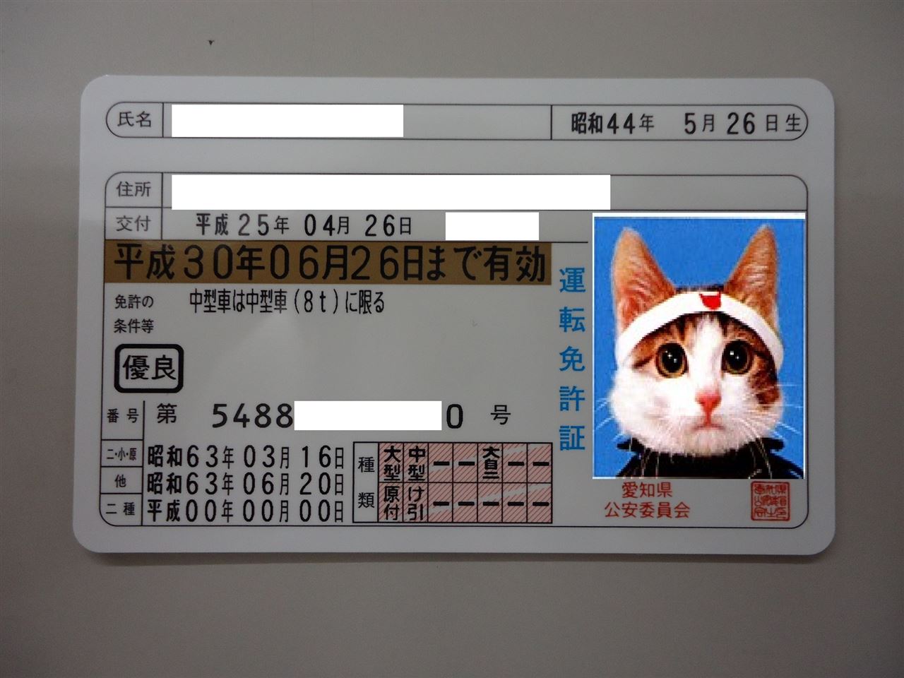 運転免許証更新♪|SILVER FOX ...