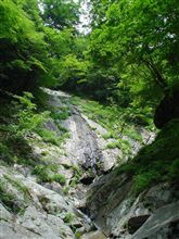笛吹川　鶏冠谷左股　一の沢 沢登り