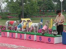 みんカラ Ipc わんわん動物園 条件 おすすめスポット のキーワード検索結果一覧