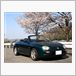 MG MGF