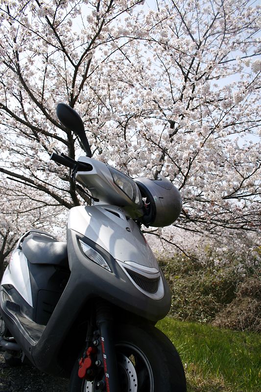 アルズさんのSV-MAX125