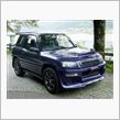 ぼたのRAV4 L