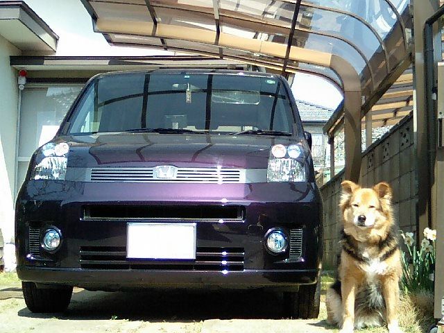 ホンダ モビリオ