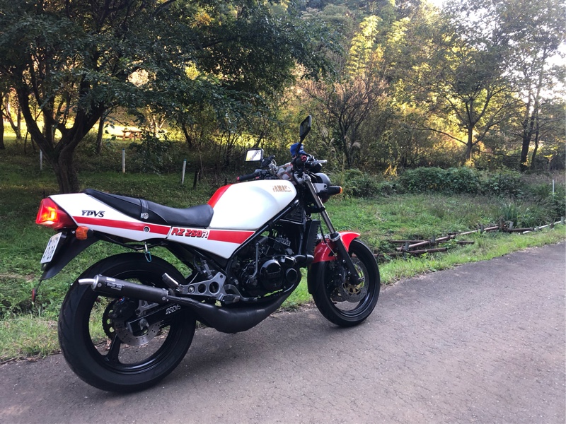 BUKUさんのRZ250R