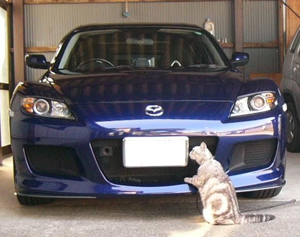 Rx 8 マツダ はねぇの愛車 みんカラ Rx 8 マツダ はねぇの愛車 みんカラ